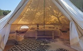 Pasare Glamping_Anglonaruralexperience