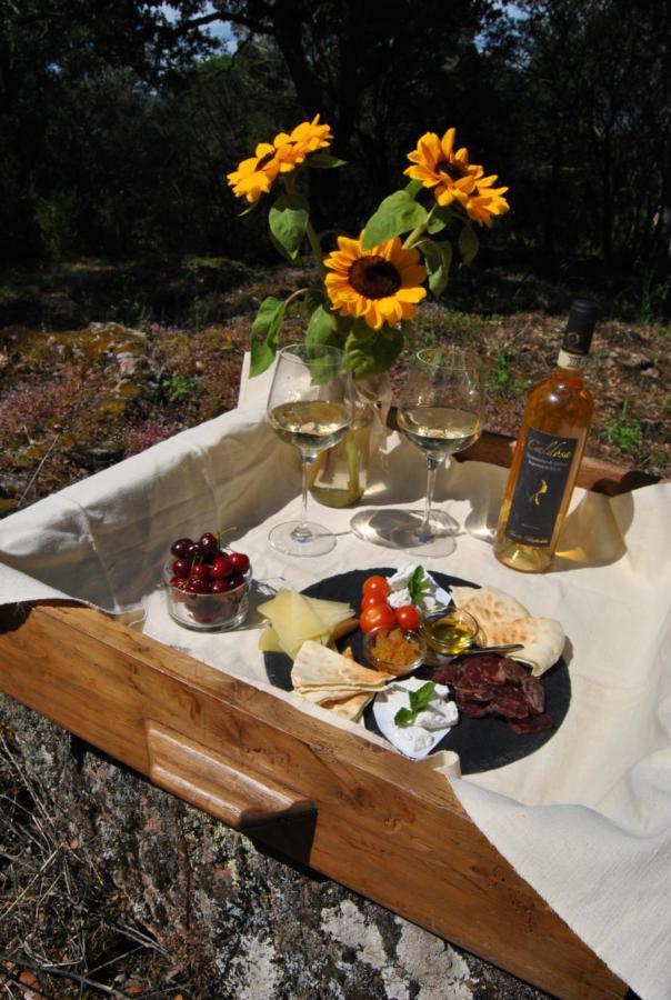 Hotel Pasare Glamping_Anglonaruralexperience à Perfugas Extérieur photo