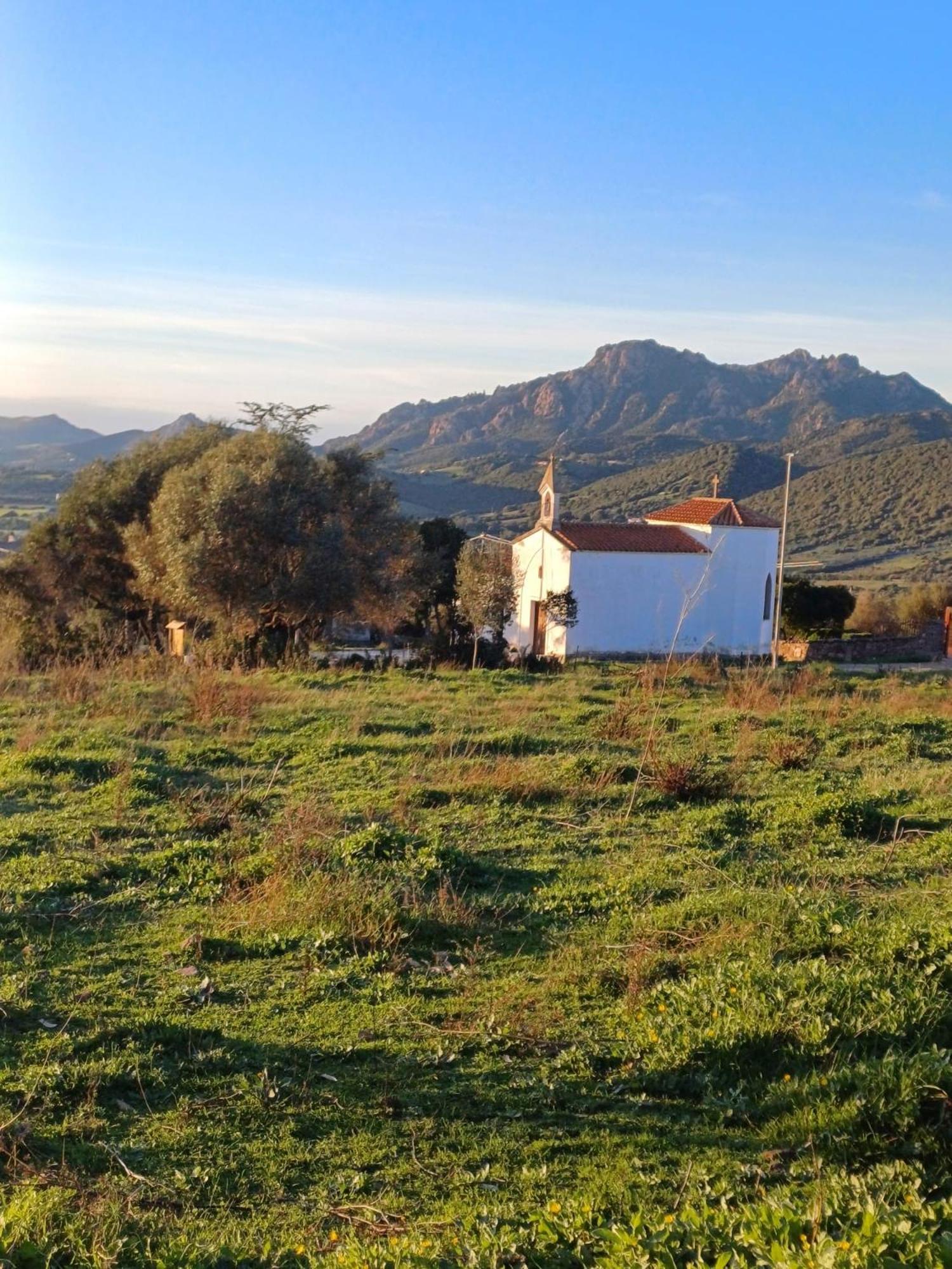 Hotel Pasare Glamping_Anglonaruralexperience à Perfugas Extérieur photo